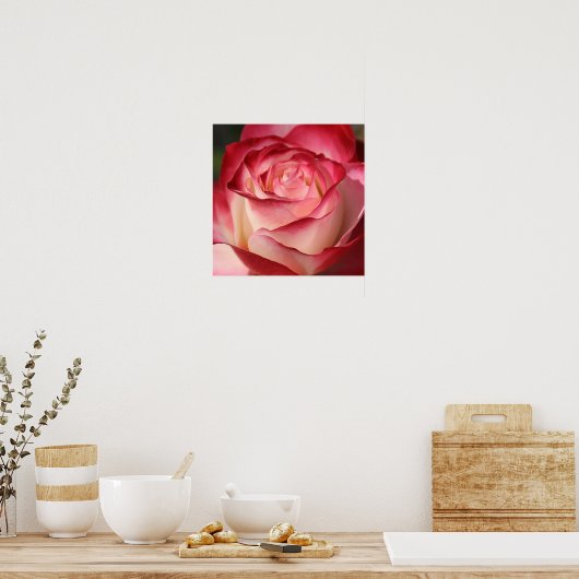 Poster Rose (Cuisine)