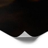 Poster rose (Coin)