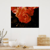 Poster rose (Cuisine)