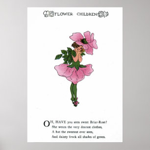 Poster Rose
