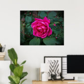 Poster Rose, (Bureau à domicile)