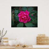 Poster Rose, (Cuisine)