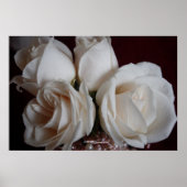 Poster Rose 15 (Devant)