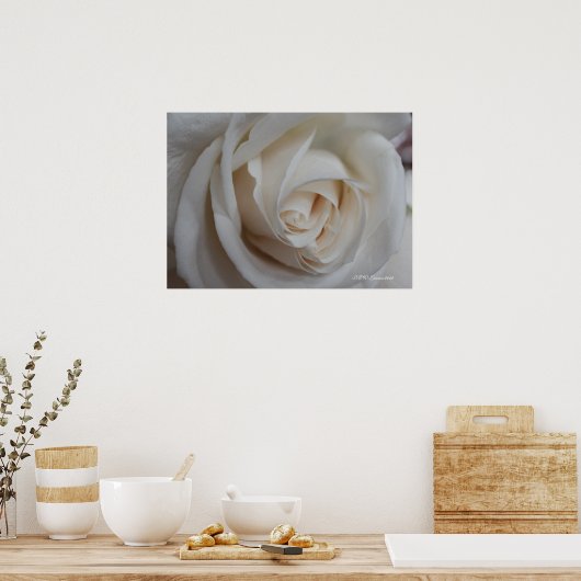 Poster Rose 16 (Cuisine)