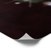 POSTER ROSE 2 (Coin)