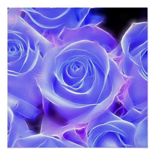 Poster Rose 2014-0927 (Devant)