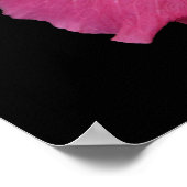 Poster rose 24 x 24 (Coin)