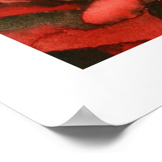 POSTER ROSE 3 (Coin)