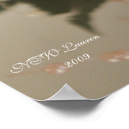 POSTER ROSE 3 (Coin)