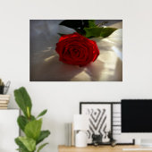 Poster rose à crépuscule (Bureau à domicile)