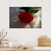 Poster rose à crépuscule (Cuisine)