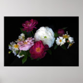 Poster Rose à l'ancienne (Devant)