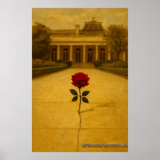 Poster Rose à travers la fissure : arrière de la Maison B (Devant)