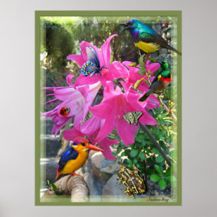 Poster rose - Amaryllis & Kingfisher