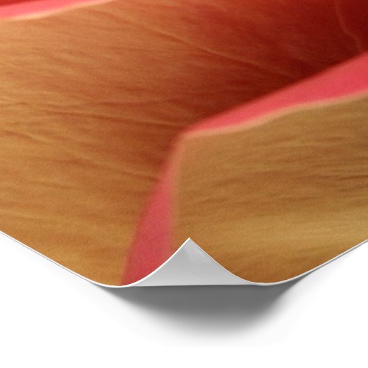 Poster Rose amoureux (Coin)