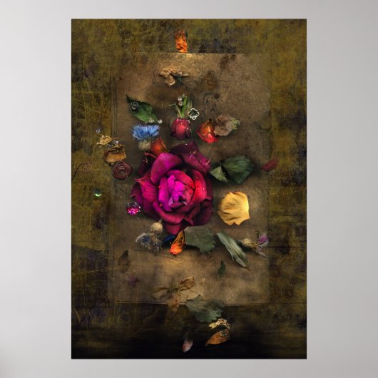 Poster Rose antique (Devant)