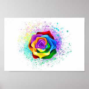 Poster Rose arc-en-ciel colorée