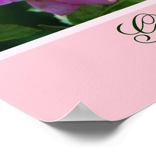 Poster rose avec la Bible Verse (Coin)