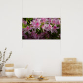 Poster Rose Azalea Bush printemps floral (Cuisine)
