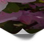 Poster Rose Azalea Bush printemps floral (Coin)