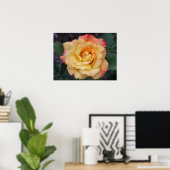 Poster Rose Beautiful Pink and Yellow Floral (Bureau à domicile)
