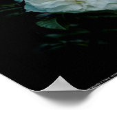 Poster Rose blanche (Coin)