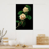 Poster Rose blanche (Cuisine)