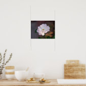 Poster Rose blanche (Cuisine)