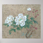 Poster Rose blanche (Devant)