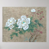 Poster Rose blanche (Devant)