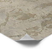 Poster Rose blanche (Coin)