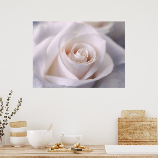 Poster Rose blanche (Cuisine)