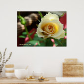 Poster Rose blanche (Cuisine)