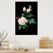 Poster Rose blanche avec arrière - plan noir papillon (Cuisine)