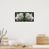 Poster Rose blanche avec Raindrops miroir floral Abstrait (Cuisine)