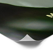 Poster Rose blanche Ballerina (Coin)