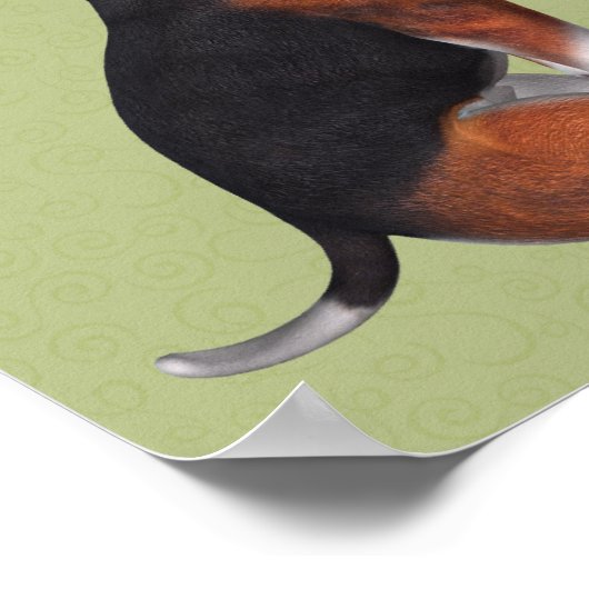 Poster Rose blanche de beagle chiot (Coin)