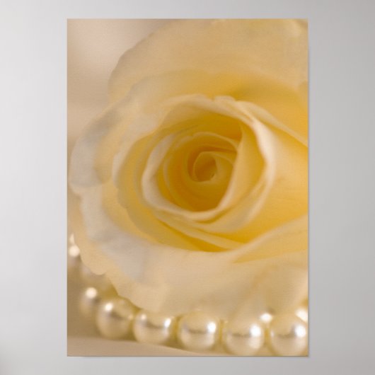 Poster Rose blanche et perles (Devant)