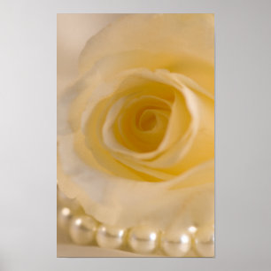 Poster Rose Blanche et Perles