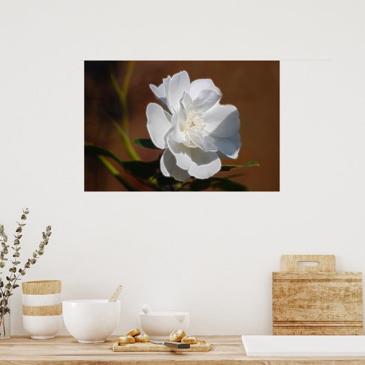 Poster Rose blanche et signification (Cuisine)