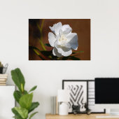 Poster Rose blanche et signification (Bureau à domicile)