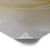 Poster Rose blanche Imprimer Belle Fleur Art Impri (Coin)