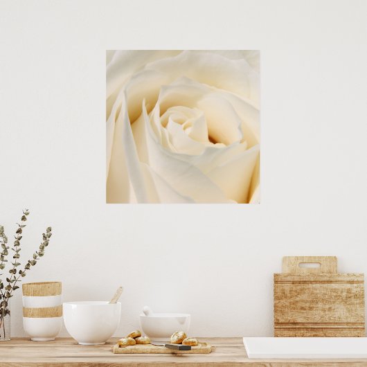 Poster Rose blanche molle (Cuisine)