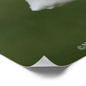 Poster Rose blanche : ROSE et PROSE 16x20 (Coin)