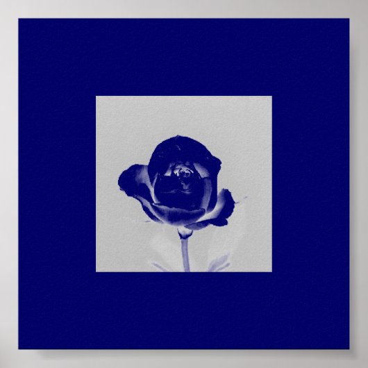 Poster Rose bleu (Devant)