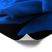 Poster Rose bleu (Coin)