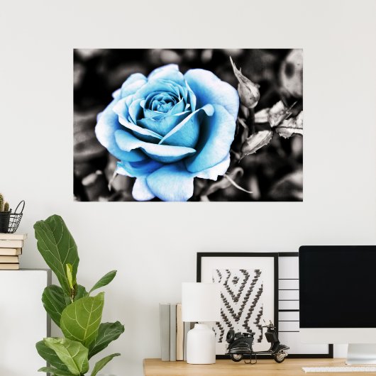 Poster Rose bleu (Bureau à domicile)