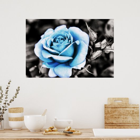 Poster Rose bleu (Cuisine)