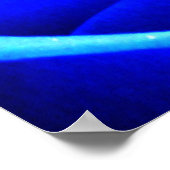 Poster Rose bleu (Coin)