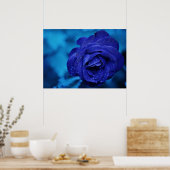 Poster Rose bleu avec gouttes de Dew (Cuisine)